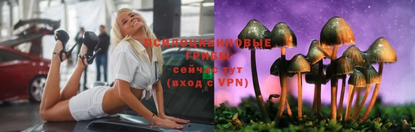 прущая мука Алзамай