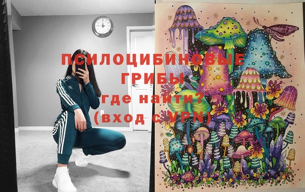 ECSTASY Алексин