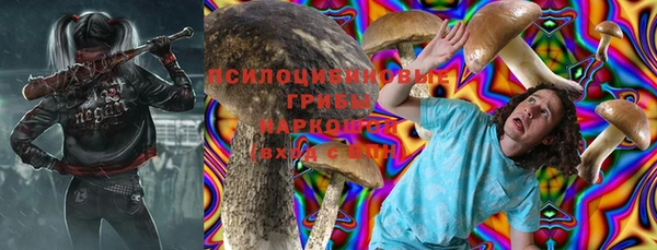 прущая мука Алзамай