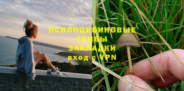 ALPHA PVP Алексеевка