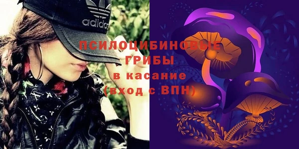прущая мука Алзамай