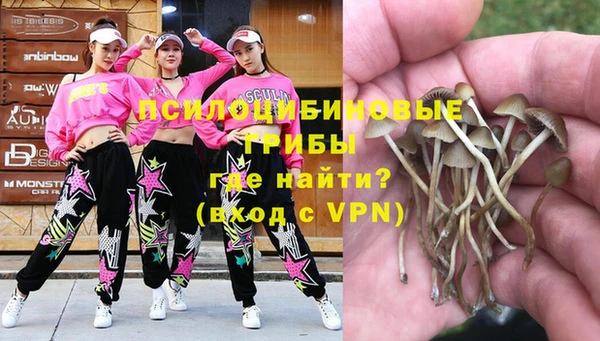ECSTASY Алексин