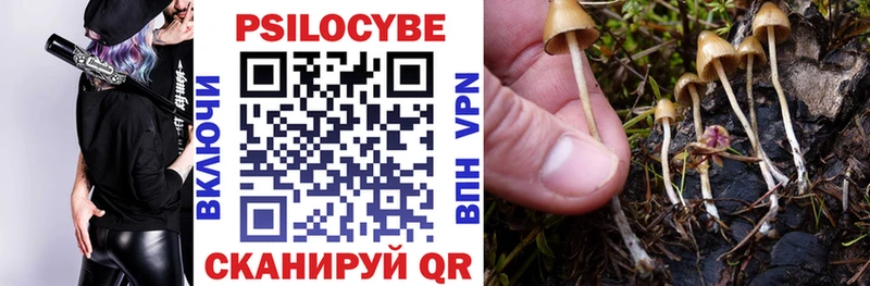 Галлюциногенные грибы ЛСД  Дзержинск 