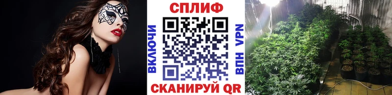 Шишки марихуана план  мега зеркало  Дзержинск 